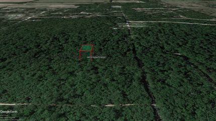 Undeveloped Land for sale in Suwannee County, Florida