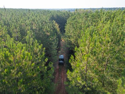 Undeveloped Land for sale in Sumter County, Georgia