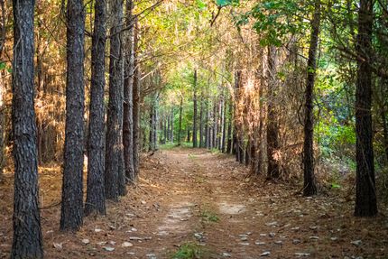 Land for sale in Sumter County, Georgia