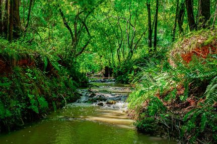 Land for sale in Chester County, South Carolina