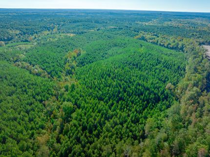 Farm and Ranch for sale in Fairfield County, South Carolina