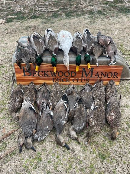 Land for sale in Arkansas County, Arkansas