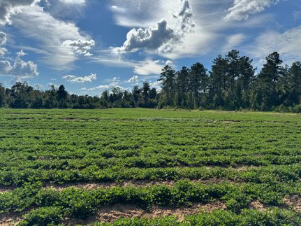 Riverfront Property for sale in Early County, Georgia