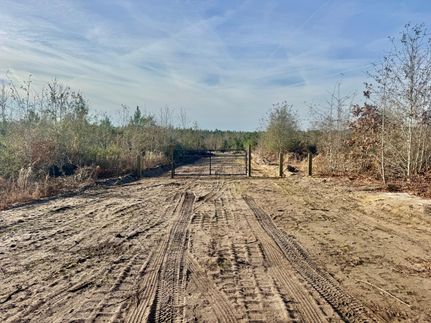 Land for sale in Bladen County, North Carolina