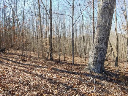 Timberland Property for sale in Bedford County, Virginia