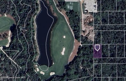 Undeveloped Land for sale in Lee County, Florida