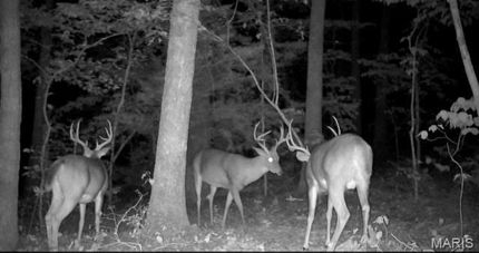 Farm and Ranch for sale in Gasconade County, Missouri