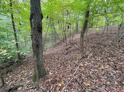 Waterfront Property for sale in Oconee County, South Carolina