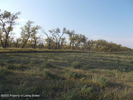 Undeveloped Land for sale in Stark County, North Dakota