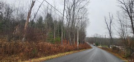 Farm and Ranch for sale in Sullivan County, New York