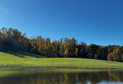 Timberland Property for sale in Nicholas County, West Virginia