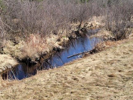 Hunting Property for sale in Sawyer County, Wisconsin