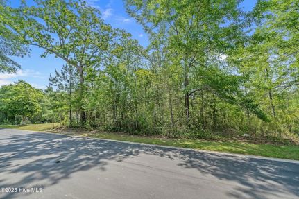 Farm and Ranch for sale in Brunswick County, North Carolina