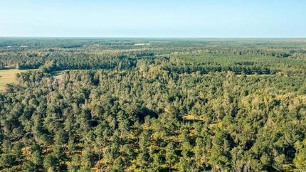 Land for sale in Marion County, South Carolina