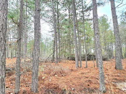 Recreational Property for sale in Moore County, North Carolina