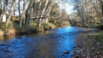 Farm and Ranch for sale in Douglas County, Oregon