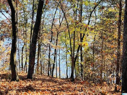 Homesite for sale in Saint Clair County, Alabama