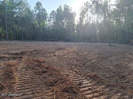 Homesite for sale in Simpson County, Mississippi