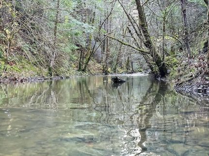Undeveloped Land for sale in Humboldt County, California