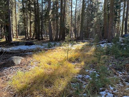 Timberland Property for sale in Calaveras County, California