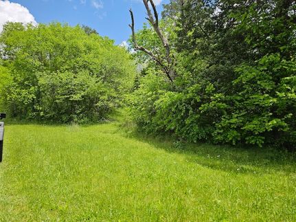 Timberland Property for sale in Cocke County, Tennessee