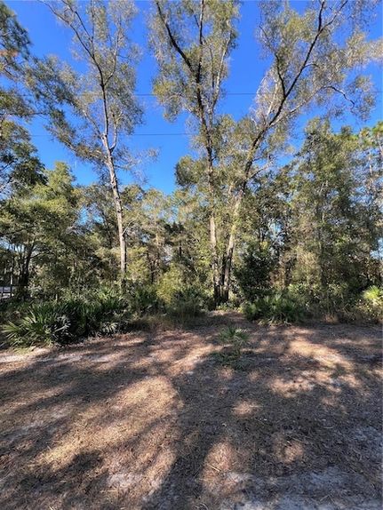 Homesite for sale in Marion County, Florida