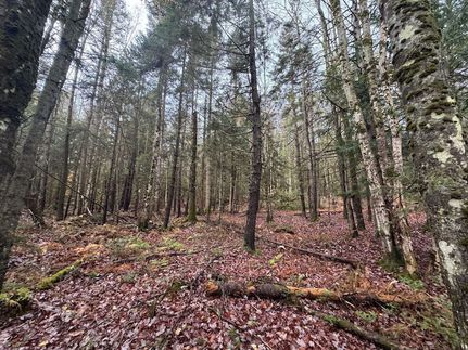 Recreational Property for sale in Washington County, Vermont