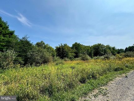 Land for sale in Hardy County, West Virginia