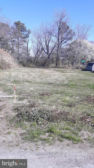 Timberland Property for sale in Talbot County, Maryland