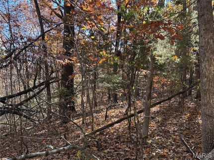 Farm and Ranch for sale in Washington County, Missouri