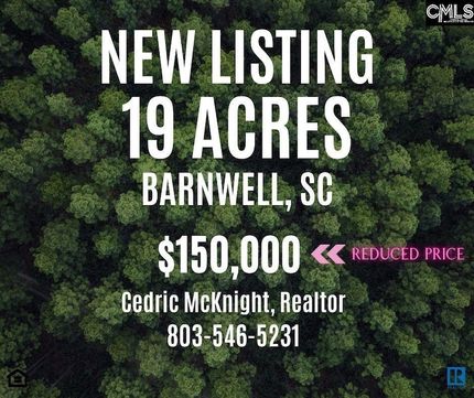 Undeveloped Land for sale in Barnwell County, South Carolina