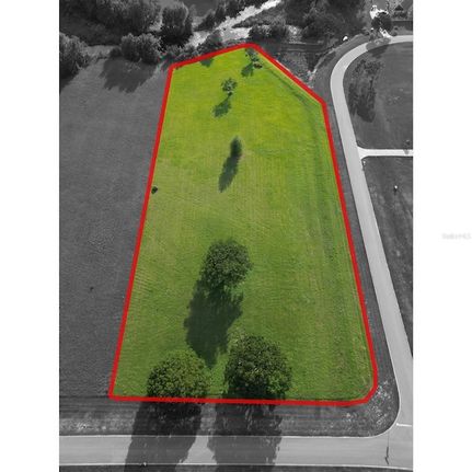 Undeveloped Land for sale in Lake County, Florida