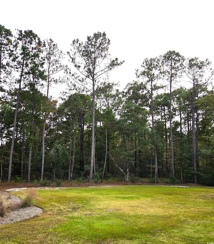 Timberland Property for sale in Georgetown County, South Carolina