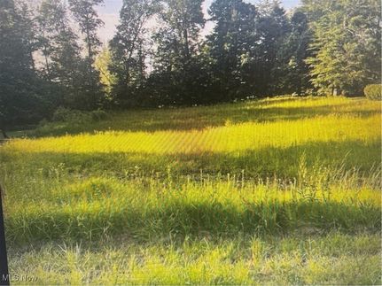 Timberland Property for sale in Muskingum County, Ohio