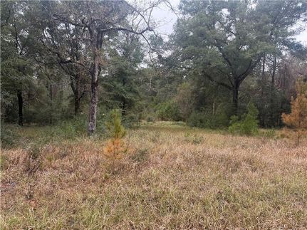 Homesite for sale in Mobile County, Alabama
