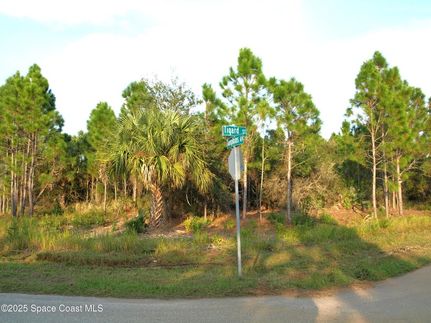 Land for sale in Brevard County, Florida