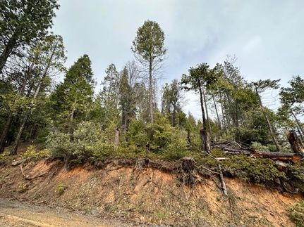 Undeveloped Land for sale in Tuolumne County, California