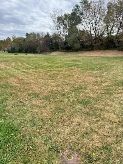 Timberland Property for sale in Brown County, Minnesota