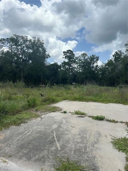 Land for sale in Orange County, Florida