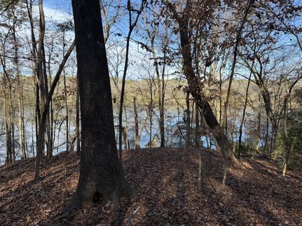 Farm and Ranch for sale in Chambers County, Alabama