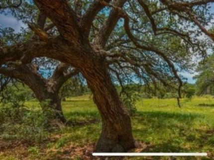 Farm and Ranch for sale in Kimble County, Texas