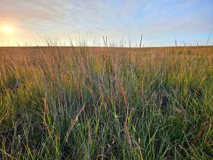 Land for sale in Cheyenne County, Nebraska