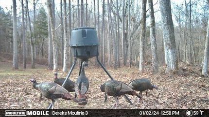 Land for sale in Marshall County, Mississippi