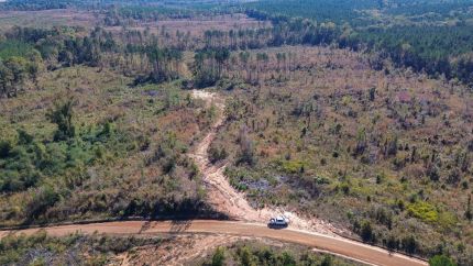 Land for sale in Webster County, Mississippi