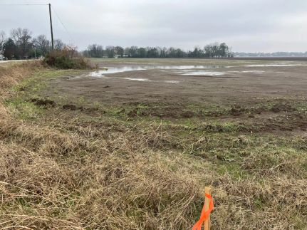 Land for sale in Chicot County, Arkansas