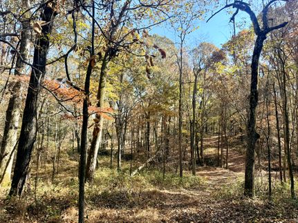 Farm and Ranch for sale in Marshall County, Mississippi