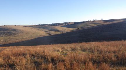 Farm and Ranch for sale in Phelps County, Nebraska