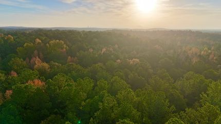 Undeveloped Land for sale in Talbot County, Georgia