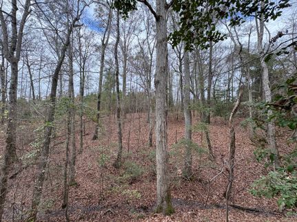 Land for sale in Stewart County, Georgia