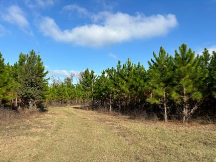 Land for sale in Jackson County, Florida